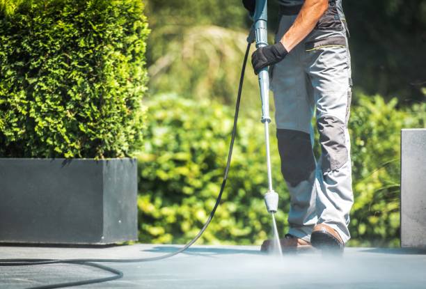 Best Sidewalk and Walkway Cleaning  in Fairview Park, IN